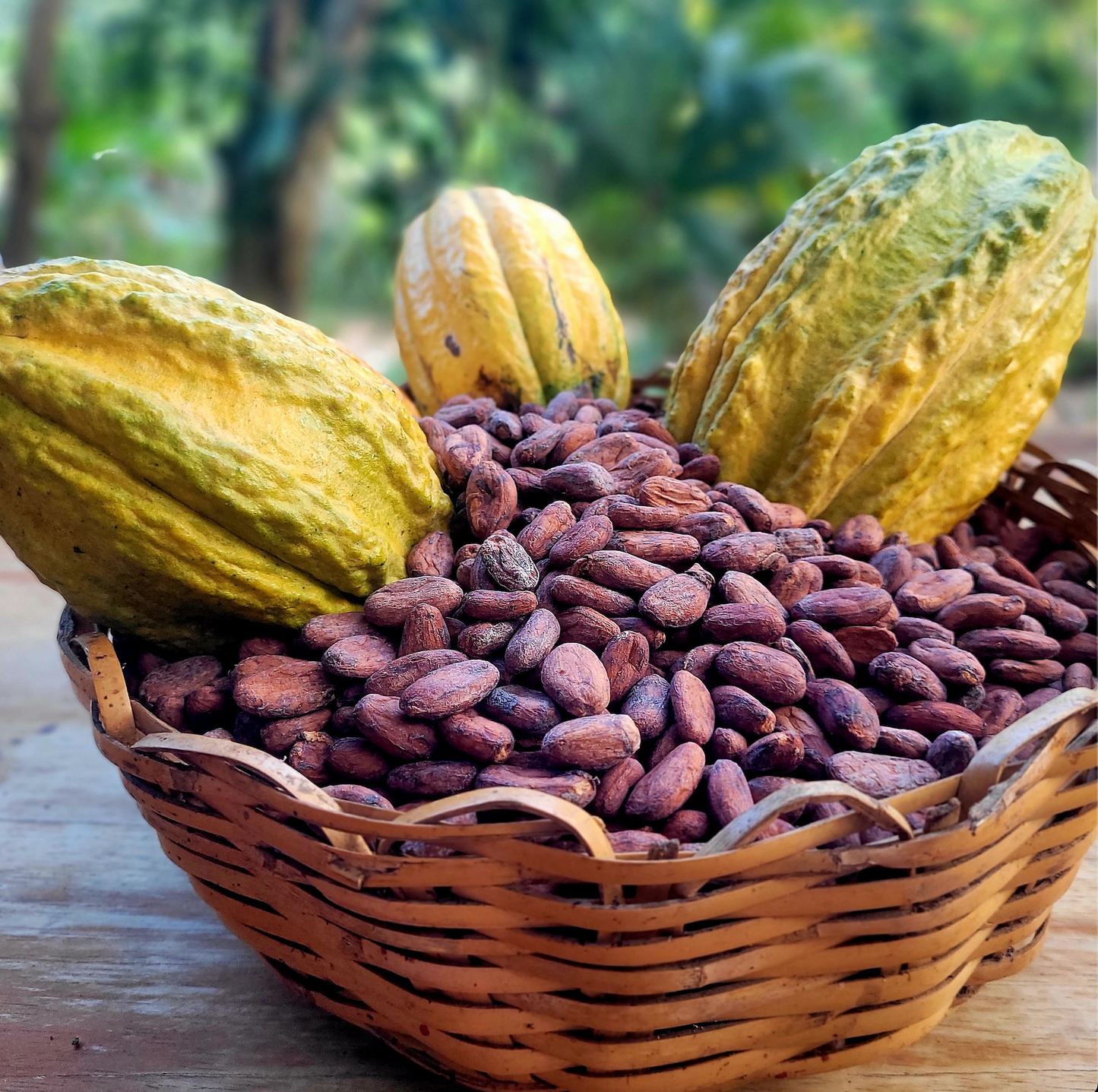 Why Chocolate Prices Are Soaring & What It Means for You 🍫