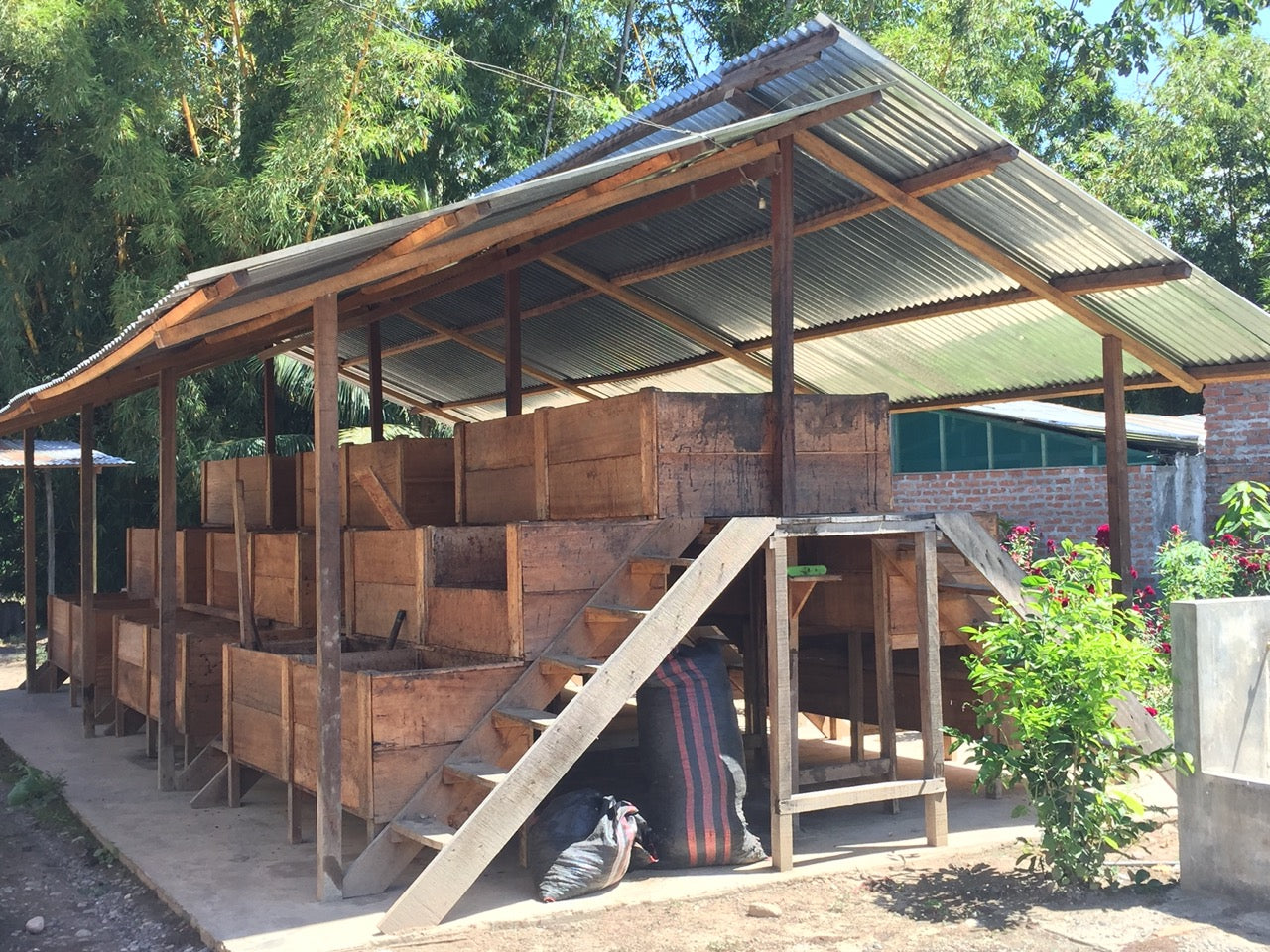 fermentation boxes at VRAE cacao farm in peru