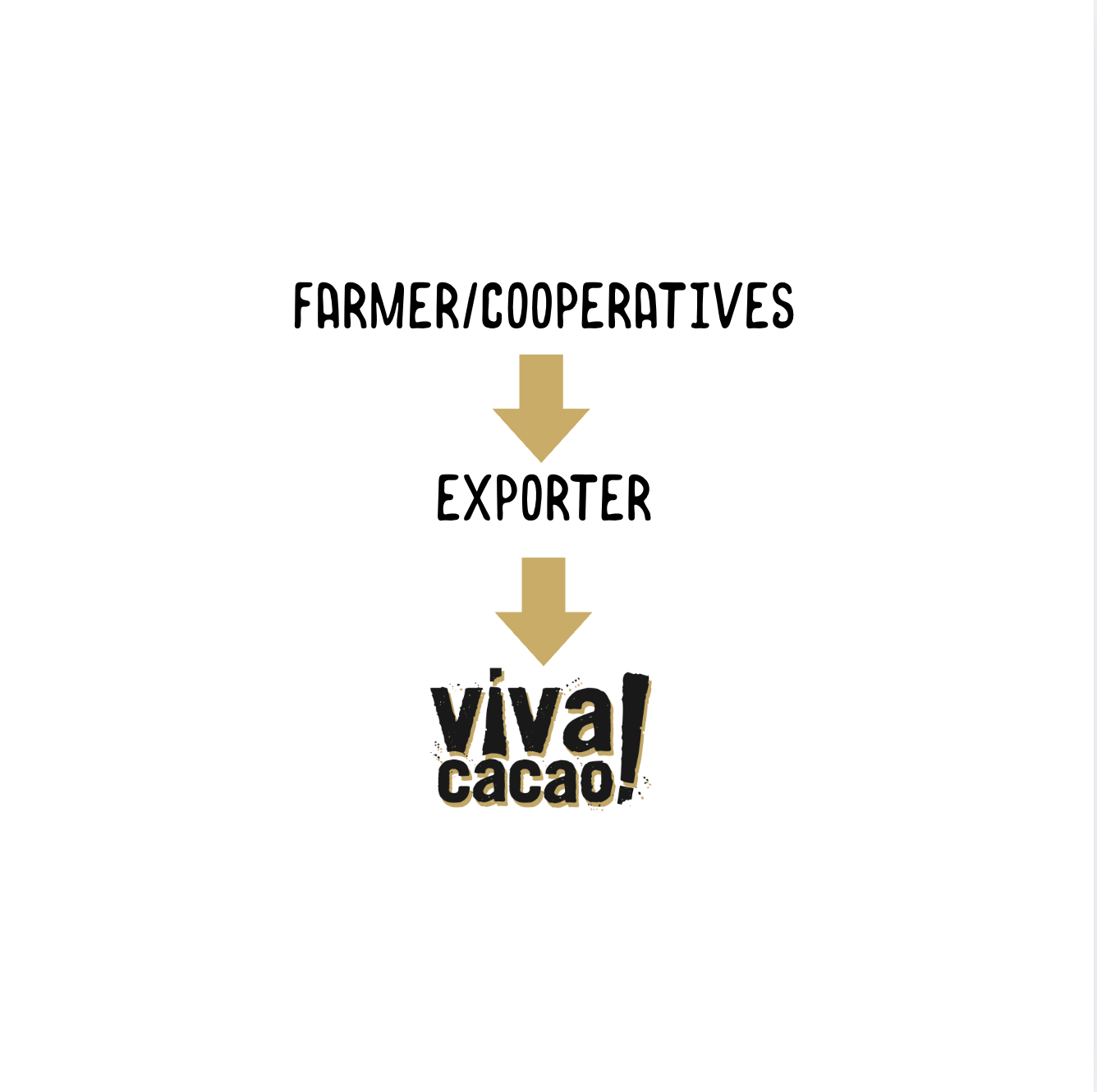 Visual diagram showing Viva Cacao’s direct and transparent trade relationships with cacao farmers, highlighting ethical sourcing and fair compensation.