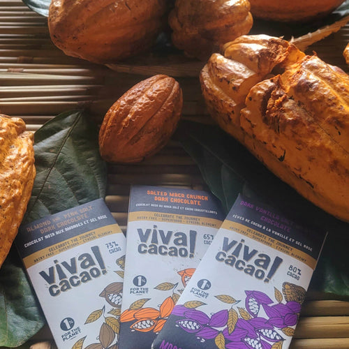 The Superfood Power of Viva Cacao Chocolates