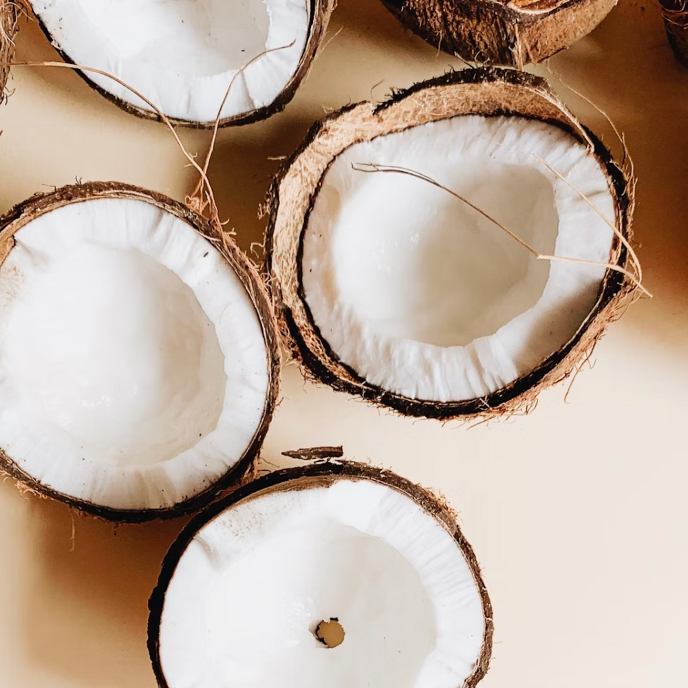 Coconut: Creamy, Nourishing, and Delicious