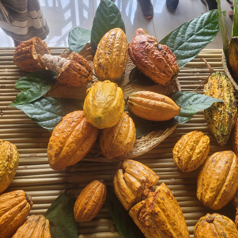 orange cacao pods on bamboo table