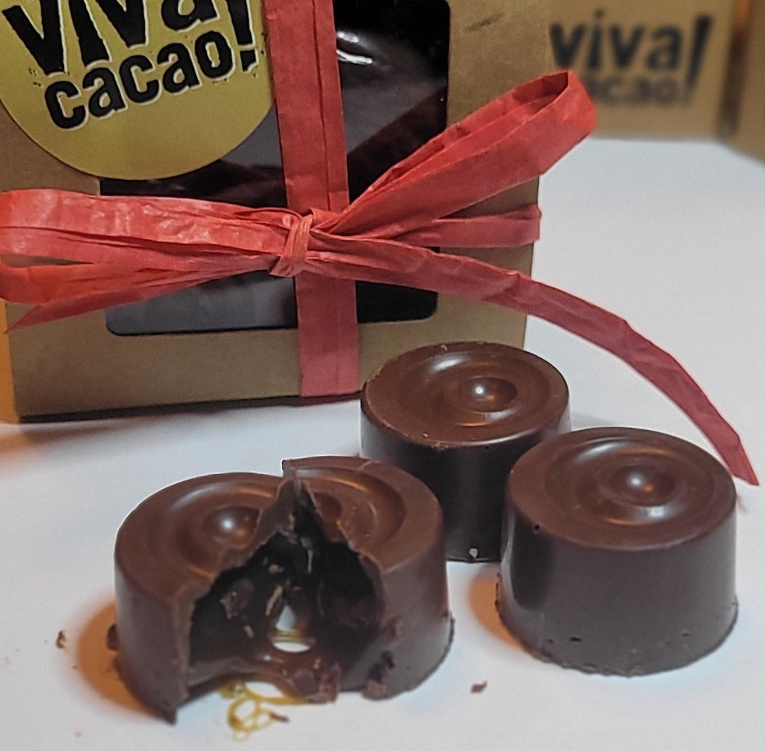 Box of salted caramel dark chocolate bonbons – vegan and gluten-free, made with 65% Peruvian cacao and organic coconut sugar - Viva Cacao!